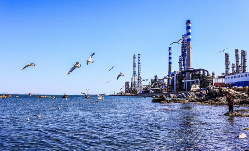 1760941978242680.jpg 31.jpg