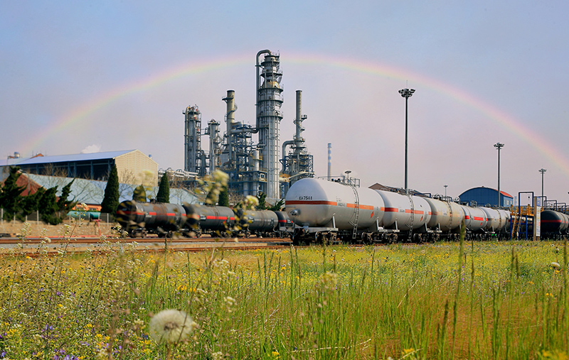 1760942031496998.jpg f7552cfaa84a3946af38325b9f0c6354_origin(1).jpg