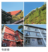 1762852432971024.png 1762852425828.png