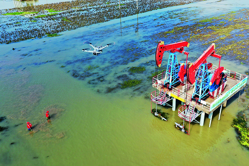 1766131619125779.jpg 1.jpg